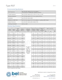 RST 6.3-BULK-SHORT Datasheet Pagina 2