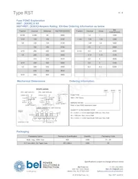 RST 6.3-BULK-SHORT Datenblatt Seite 4