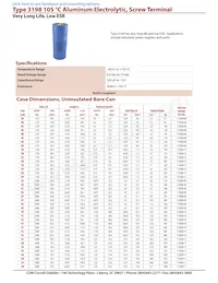 3198FE313U050KMA5 Datasheet Copertura