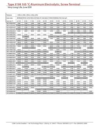 3198FE313U050KMA5 Datasheet Page 2