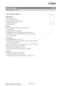 B43641A9687M057 Datasheet Pagina 2