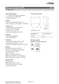 B81123C1562M000 Datasheet Pagina 2