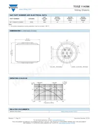 BZ114096WZ10238BK1 Datasheet Pagina 2