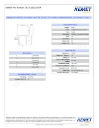 C637C101JCG5TA Datasheet Cover