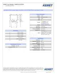 CCR05CG121FRV Datasheet Cover