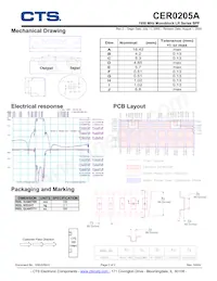 CER0205A Datasheet Page 2