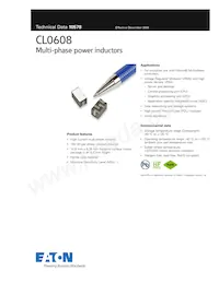 CL0608-2-100TR-R數據表 封面