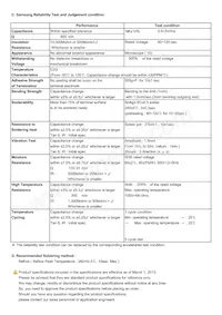 CL10C100JB8NNWC Datasheet Pagina 2