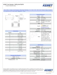 CWR11KH475KPB Datasheet Copertura