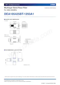 DEA105425BT-1293A1 Datenblatt Seite 2