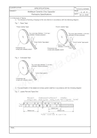 ECJ-3YF1C106Z數據表 頁面 21