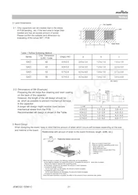 GA342D1XGD220JY02L Datasheet Page 21