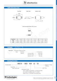 HM71S-1807102LFTR Datasheet Pagina 2