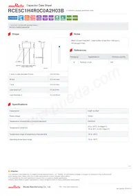 RCE5C1H4R0C0A2H03B Datasheet Copertura