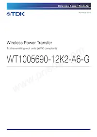 WT1005690-12K2-A6-G Cover