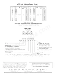 200A103KCA50XT Datasheet Page 2