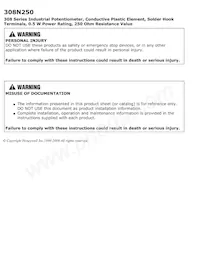 308N250 Datasheet Page 3