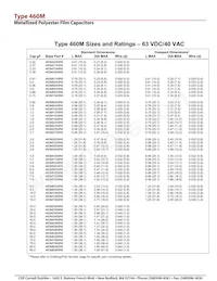 460M40592-100 Datasheet Page 5