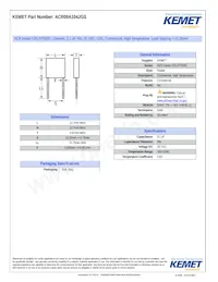 ACR09A104JGS Datasheet Copertura