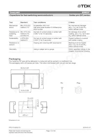 B58033I7106M001 Datasheet Page 12