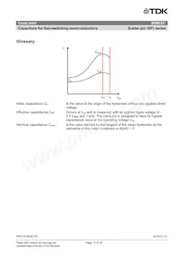 B58033I7106M001 Datasheet Page 15