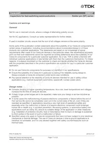 B58033I7106M001 Datasheet Page 17