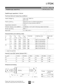 B85121A2253C160 Datenblatt Seite 12