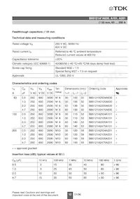 B85121A2253C160 Datenblatt Seite 13