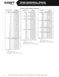 C192C102G2G5CA Datasheet Page 10