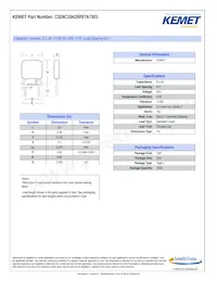 C324C104J5R5TA Datasheet Copertura