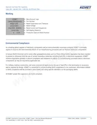 C44HFG35800ZB0J Datasheet Page 6