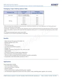 C961U222MWWDCAWL20 Datasheet Page 2