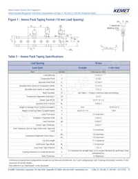 C961U222MWWDCAWL20 Datasheet Pagina 13