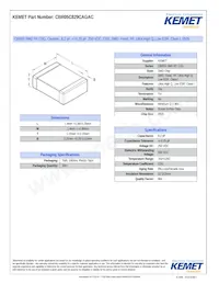 CBR05C829CAGAC Datasheet Copertura