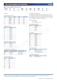 CGA4C4NP02W391J060AA Datasheet Page 4