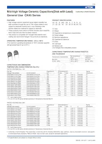 CK45-E3FD103ZYNNA數據表 頁面 2
