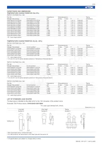 CK45-E3FD103ZYNNA Datenblatt Seite 3