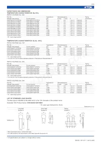 CK45-E3FD103ZYNNA Datasheet Page 3