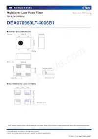 DEA070960LT-4006B1數據表 頁面 2