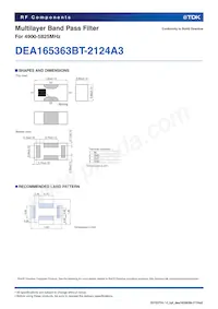DEA165363BT-2124A3 Datasheet Page 2