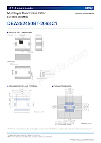 DEA252450BT-2063C1 Datasheet Page 2