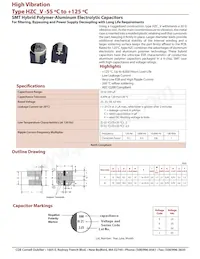 HZC107M050G24VT-F Datasheet Cover