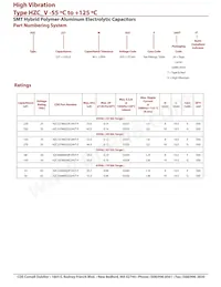 HZC107M050G24VT-F Datasheet Page 2