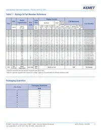 PEG225KF4120ME1 Datasheet Pagina 5