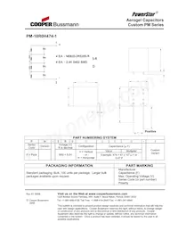 PM-10R0H504-1 Datasheet Pagina 2