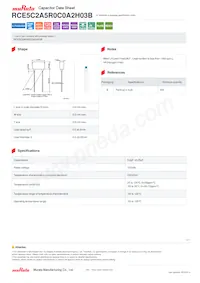 RCE5C2A5R0C0A2H03B 데이터 시트 표지