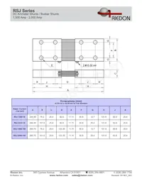 RSJ-2000-100 Datasheet Page 2