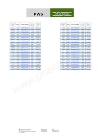 103PWS102KG Datasheet Pagina 3