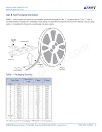 A700W107M002ATE016 Datasheet Page 13