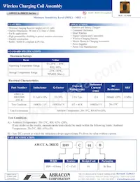 AWCCA-38R32H09-C01-B Datasheet Cover